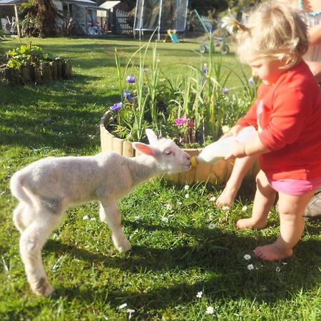 Little Paradise & Petting Farm Greymouth Exteriör bild