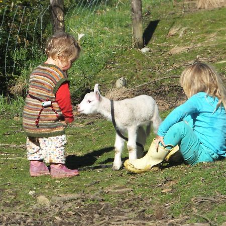 Little Paradise & Petting Farm Greymouth Exteriör bild