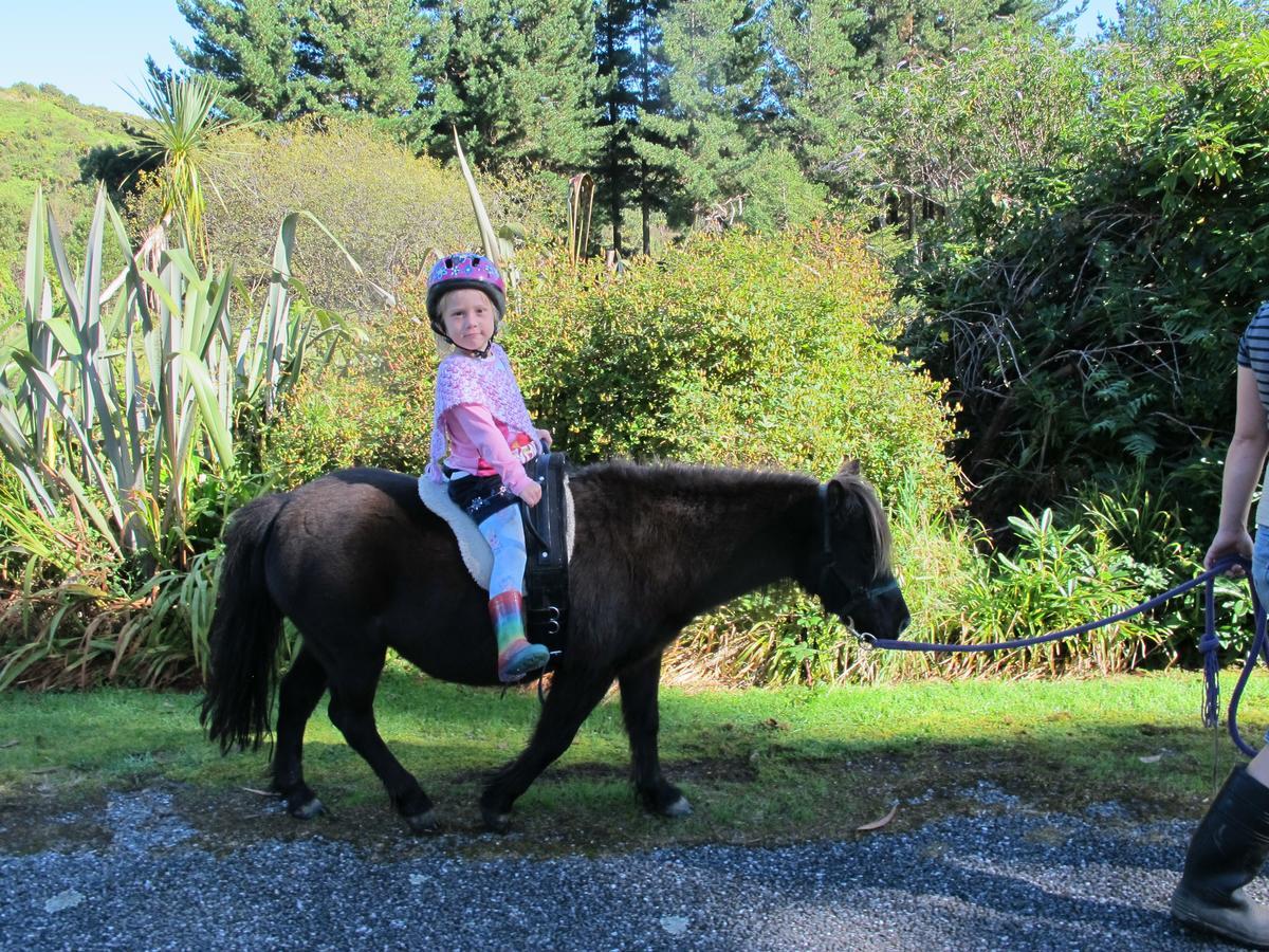 Little Paradise & Petting Farm Greymouth Exteriör bild