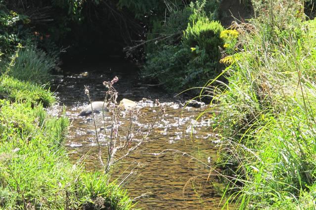 Little Paradise & Petting Farm Greymouth Exteriör bild