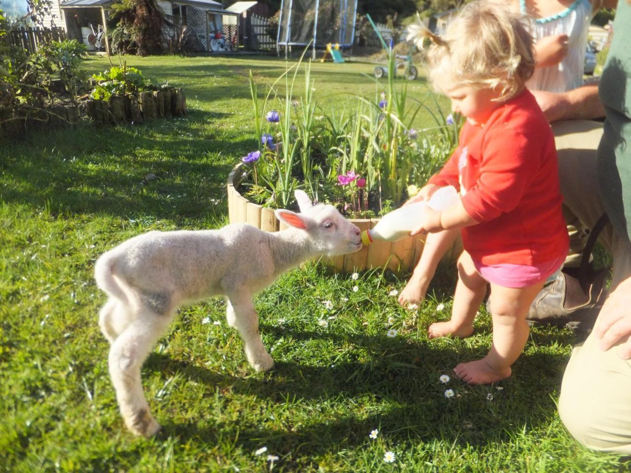 Little Paradise & Petting Farm Greymouth Exteriör bild