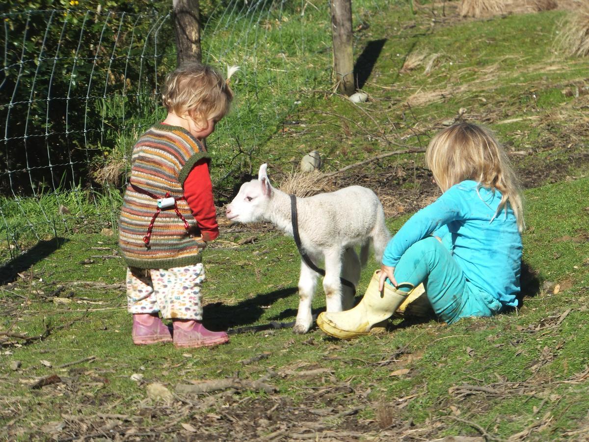 Little Paradise & Petting Farm Greymouth Exteriör bild